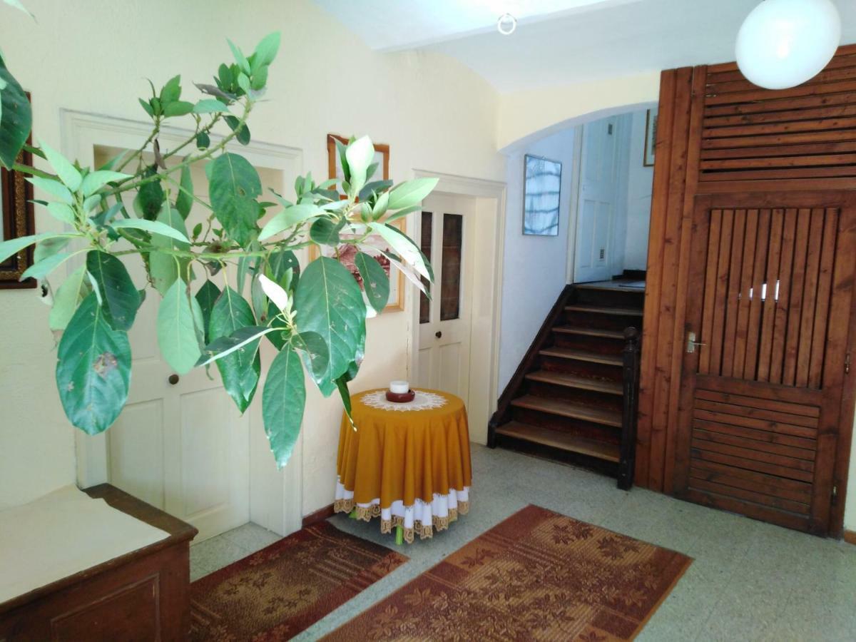 Apartments Banko 布莱德 外观 照片